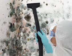 Trusted Binghamton, NY Mold Removal Experts